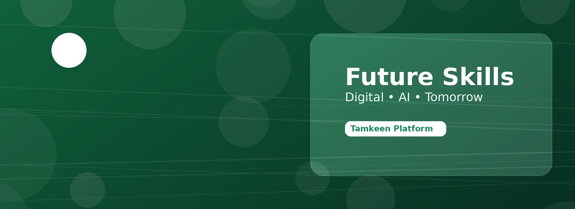 برنامج مهارات المستقبل